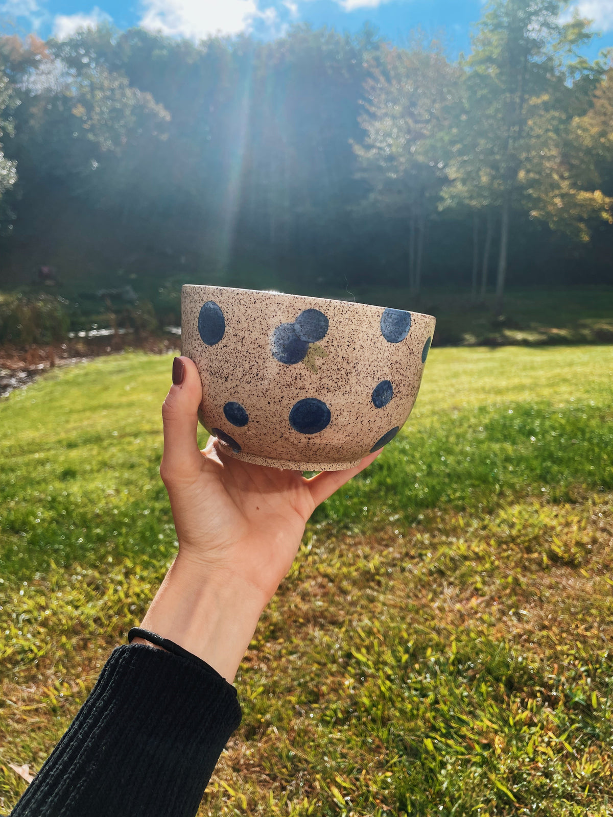 Blueberry Speckled Bowl